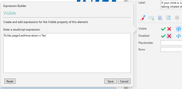 Picture showing Custom JavaScript for the Text Panel. 
